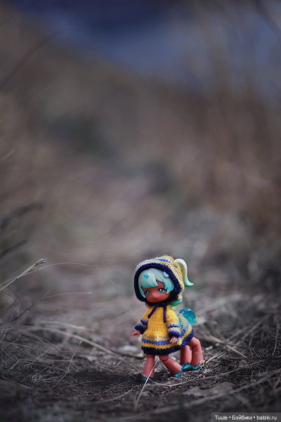 Прогулка перед бурей. Сон-трава на обрыве (фото 5)