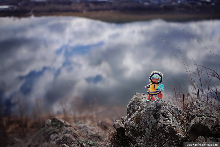 Прогулка перед бурей. Сон-трава на обрыве (фото 4)