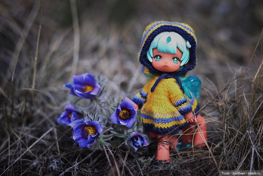 Прогулка перед бурей. Сон-трава на обрыве