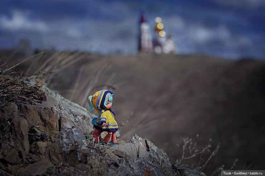 Прогулка перед бурей. Сон-трава на обрыве (фото 3)