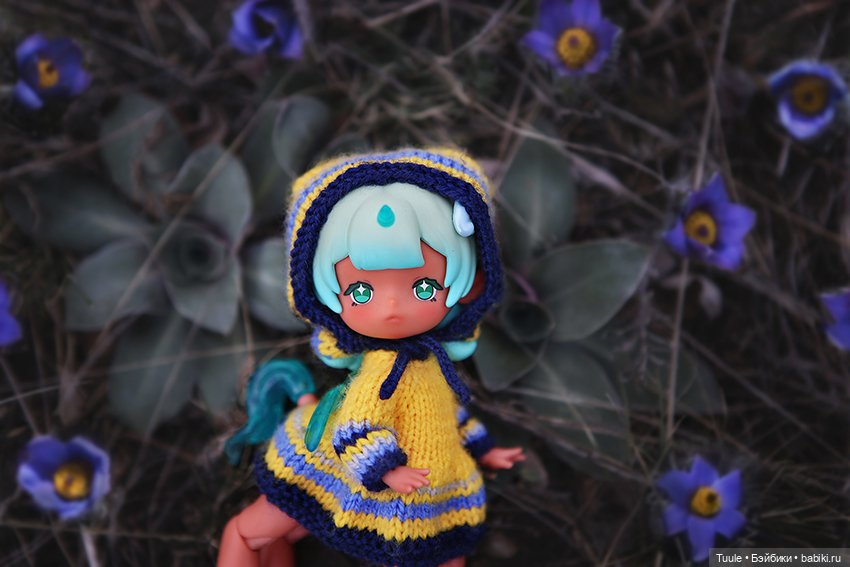 Прогулка перед бурей. Сон-трава на обрыве (фото 6)