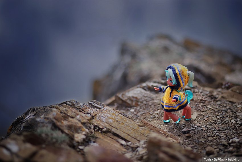 Прогулка перед бурей. Сон-трава на обрыве (фото 2)