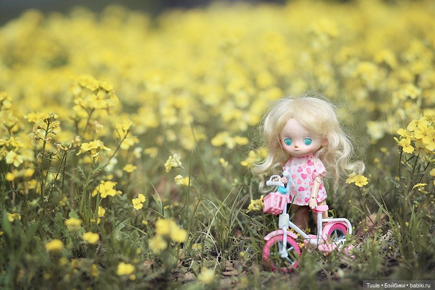 Туве и её велосипед — Куклы Simontoys и Come4Free (Blind Box): Teennar