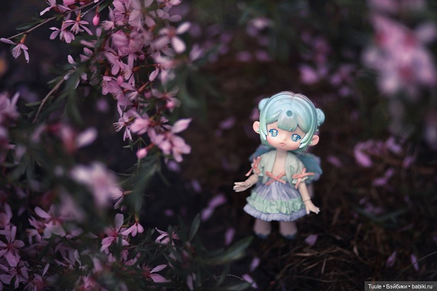 Куклы и цветы — Куклы Simontoys и Come4Free (Blind Box): Teennar