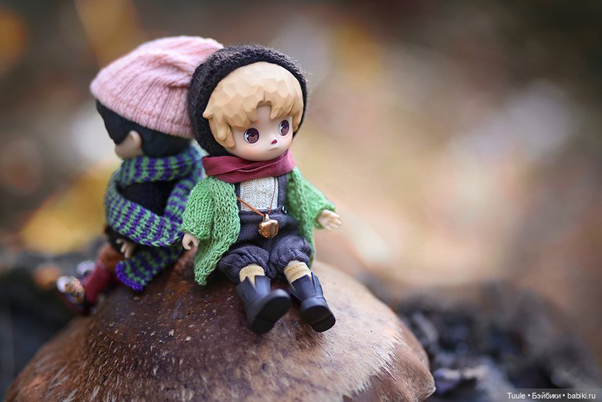 Грибные истории — Разные куклы BJD (БЖД): редкие бренды (фото 3)