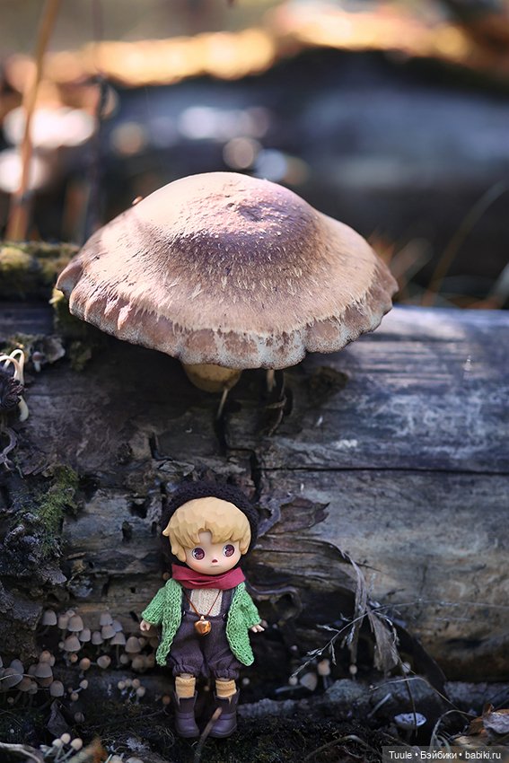 Грибные истории — Разные куклы BJD (БЖД): редкие бренды (фото 2)