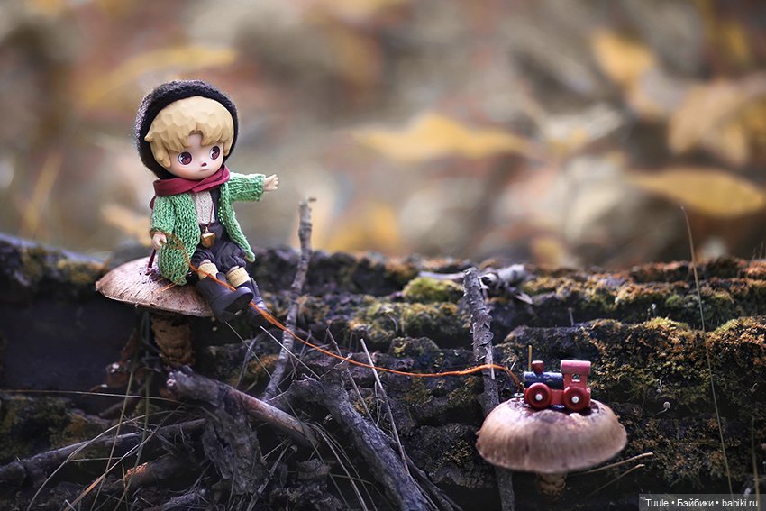 Грибные истории — Разные куклы BJD (БЖД): редкие бренды (фото 7)