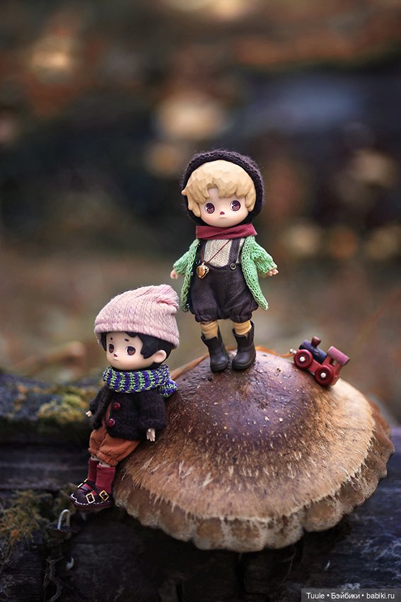 Грибные истории — Разные куклы BJD (БЖД): редкие бренды (фото 5)