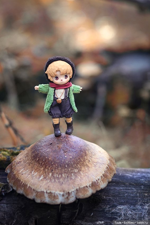 Грибные истории — Разные куклы BJD (БЖД): редкие бренды (фото 6)