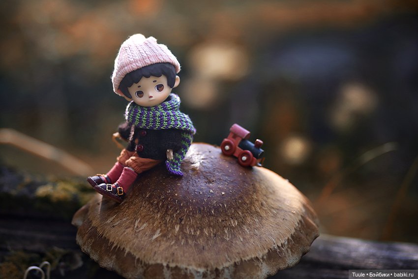Грибные истории — Разные куклы BJD (БЖД): редкие бренды (фото 4)