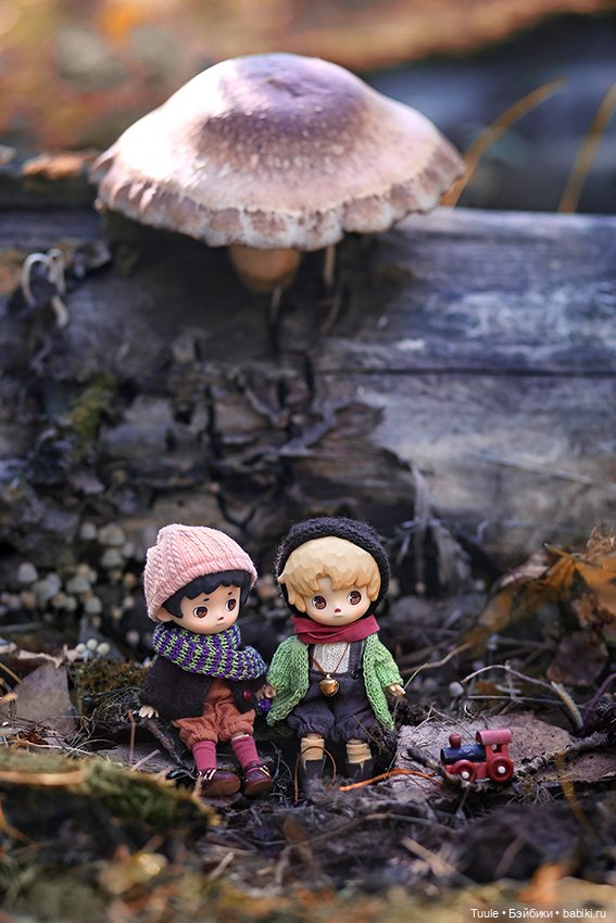 Грибные истории — Разные куклы BJD (БЖД): редкие бренды