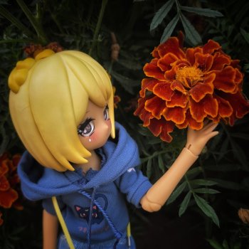 "Не виноватая я,..." Зайсы захватывают сердца