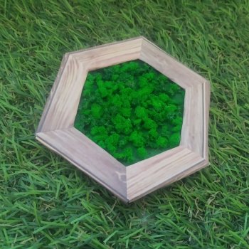 Искусственный мох своими руками