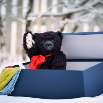 Большой и чёрный мишка