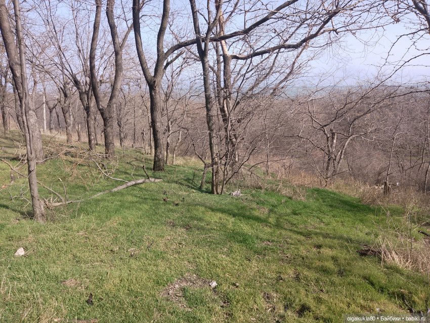 В старом парке. Фотоистория | Бэйбики В старом парке. Фотоистория