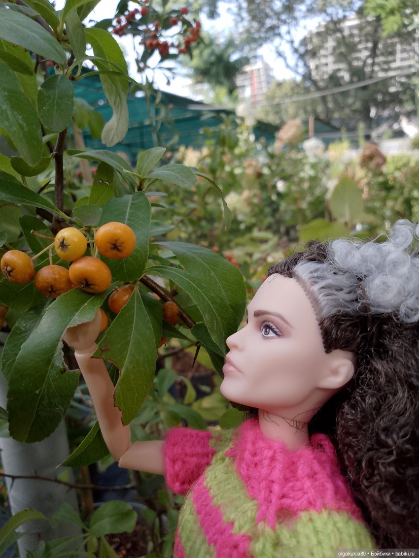 Прогулка ведьмы — Куклы Harry Potter (Гарри Поттер) Mattel: Wizarding World