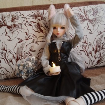 Серебряная лисичка обратилась на девушку