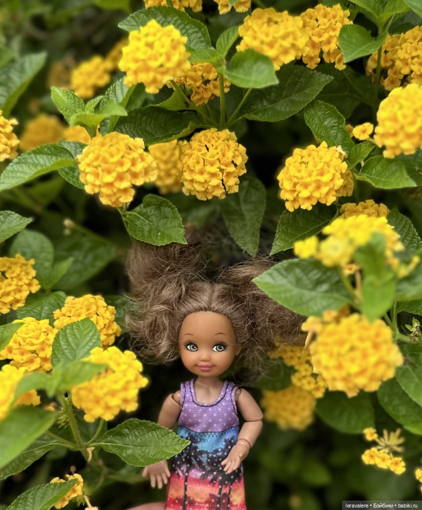 Рапунцель и Ко — Гибриды шарнирных кукол (не БЖД): подбор тела (фото 8)