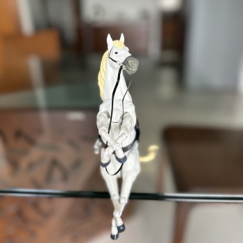 Знакомьтесь, Конь!