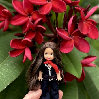 И снова плюмерия красная 🌺