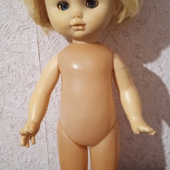 Помогите определить куколку