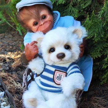 Домашние , любимые игрушки.