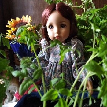 Подготовка к даче!