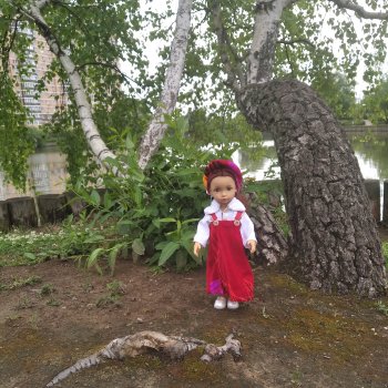 С днём России вас друзья!