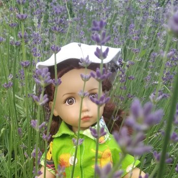 Моё лавандовое лето!!!