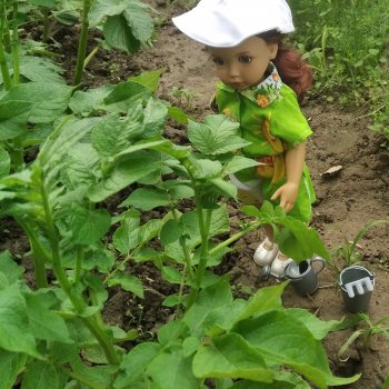 Светочка на даче, картофельные грядки