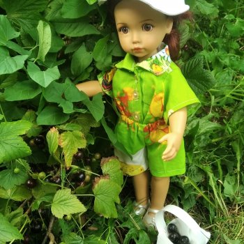 Лето на даче поспели ягодки, пошла по ягодки