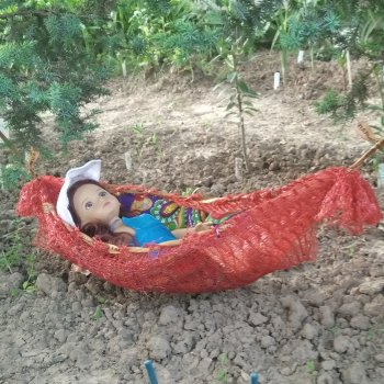 На даче в саду .