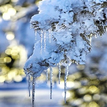 Это Весна, детка!