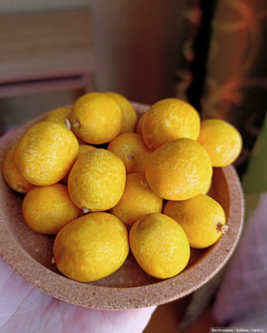 Небольшой рассказ о моём полимерном пути + мнооого фото, которые хочется рассматривать