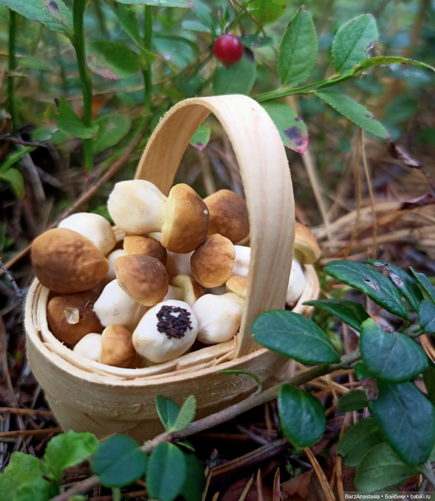 Небольшой рассказ о моём полимерном пути + мнооого фото, которые хочется рассматривать