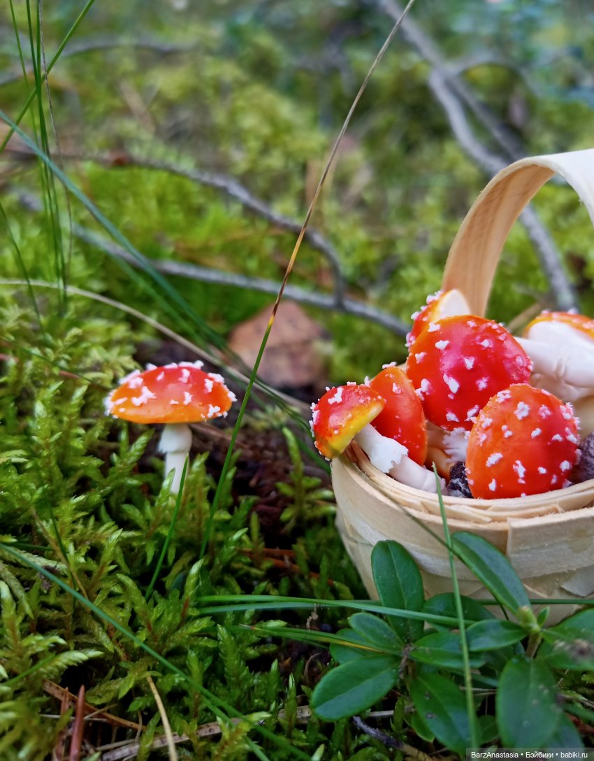 Небольшой рассказ о моём полимерном пути + мнооого фото, которые хочется рассматривать