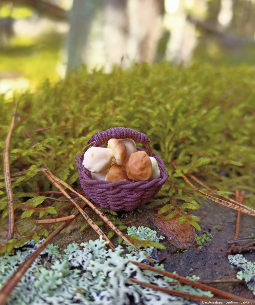 Корзины, корзинки, корзиночки и грибы (фото 8)