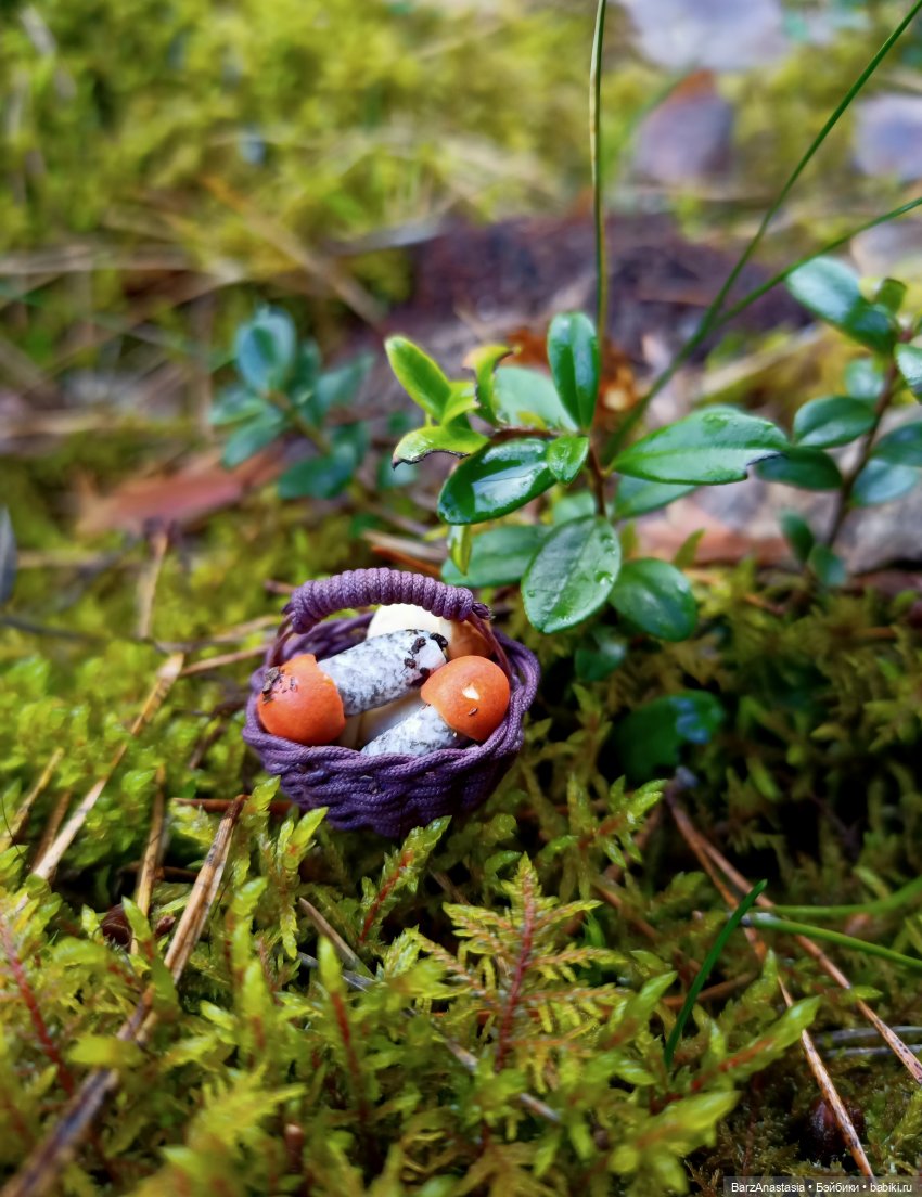 Корзины, корзинки, корзиночки и грибы (фото 7)