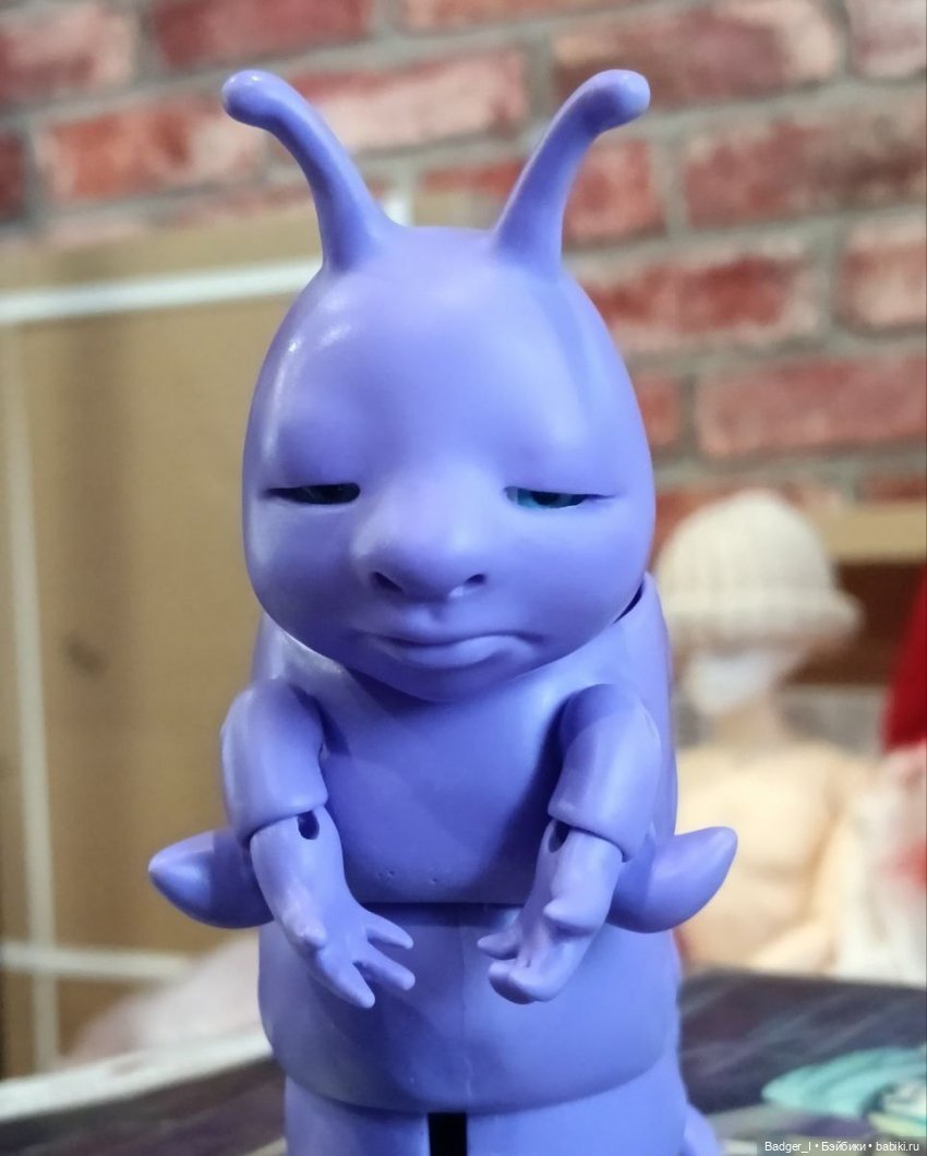 Арман обустраивается дома (фото 3)