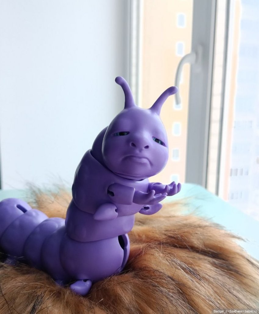 Арман обустраивается дома (фото 5)