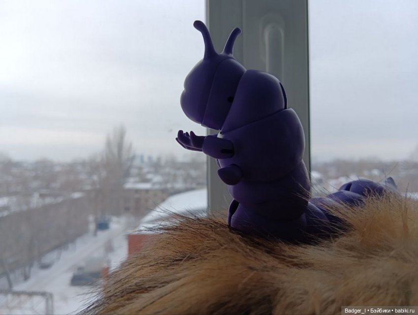 Арман обустраивается дома (фото 4)