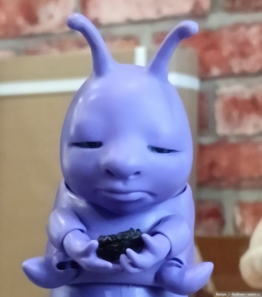 Арман обустраивается дома (фото 2)