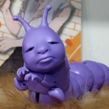 Арман обустраивается дома