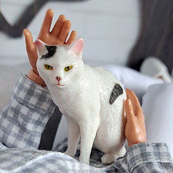 Мы в ответе за тех, и за этих тоже