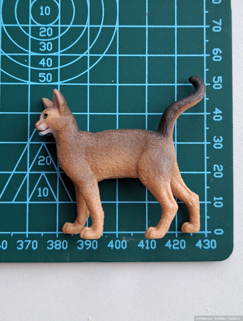 Мы в ответе за тех, и за этих тоже (фото 10)