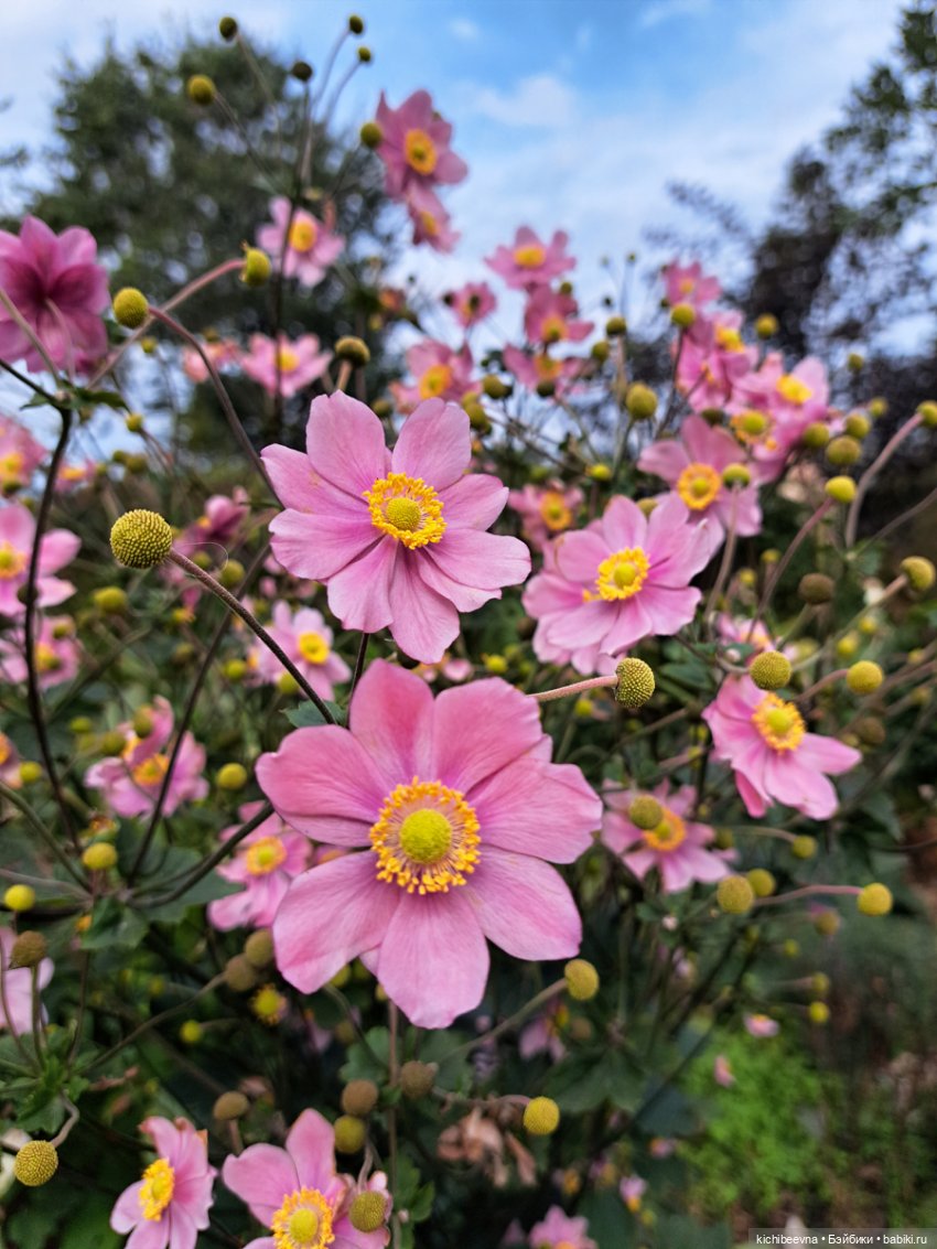 "На недельку, до второго..." или сказ о том, как дядь Мить на пляже в октябре загорал