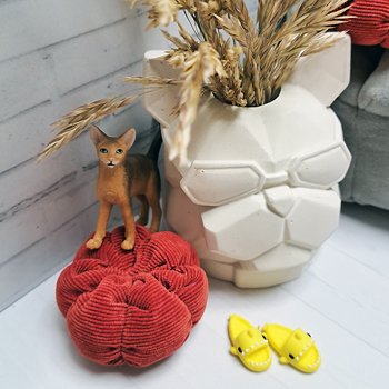 Что растёт в твоём саду?