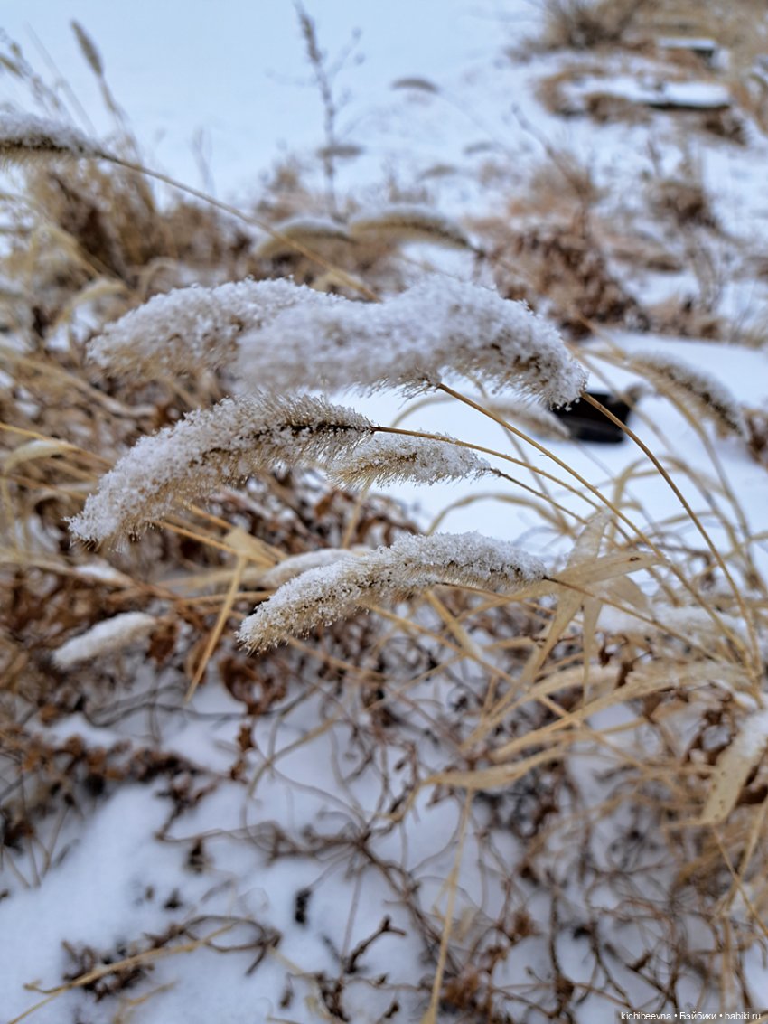 Танцева-а-а-ла булка с маком, булка с маком