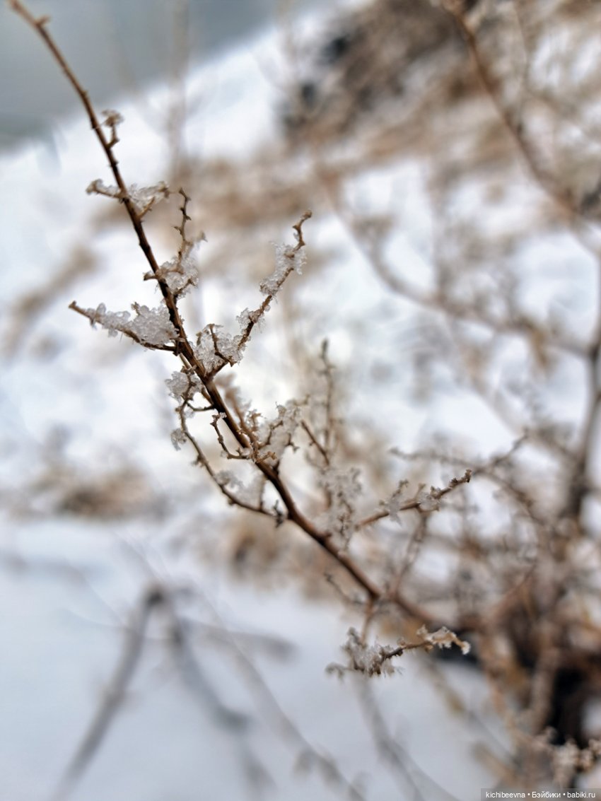 Танцева-а-а-ла булка с маком, булка с маком (фото 2)