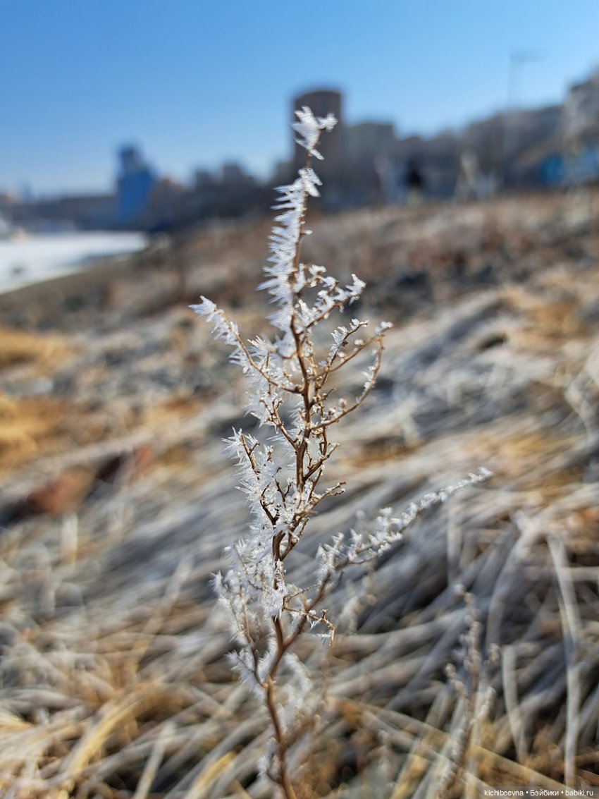 ...там где чайки кричат: "Шапку надень, простудишься!" (с) (фото 5)
